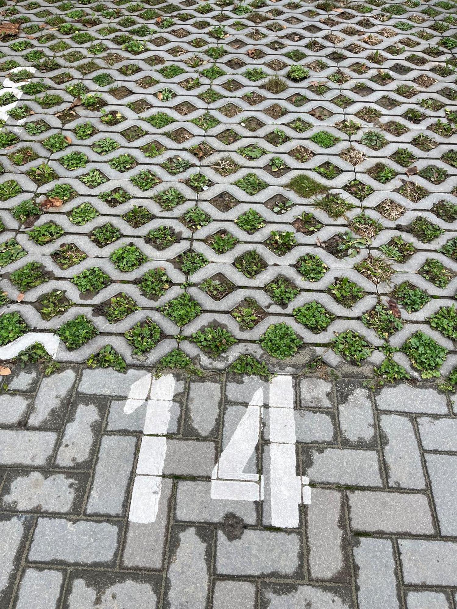 Ciao Lilla Apartman Keszthely Esterno foto